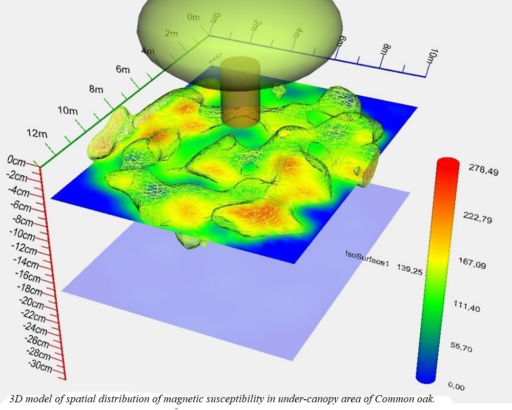 Model 3D rozkładu podatności magnetycznej w strefie podokapowej dębu (Quercus robur).